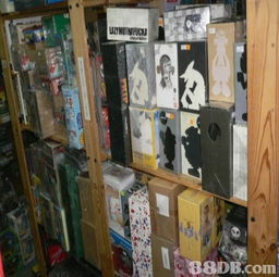 Toy Zone 16 一站式玩具交易平台，寄卖服务引领收藏新潮流